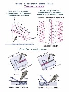 Техника и технология газовой сварки. Техника сварки.