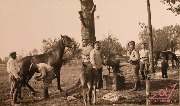 Нижние чины у походной кузницы.